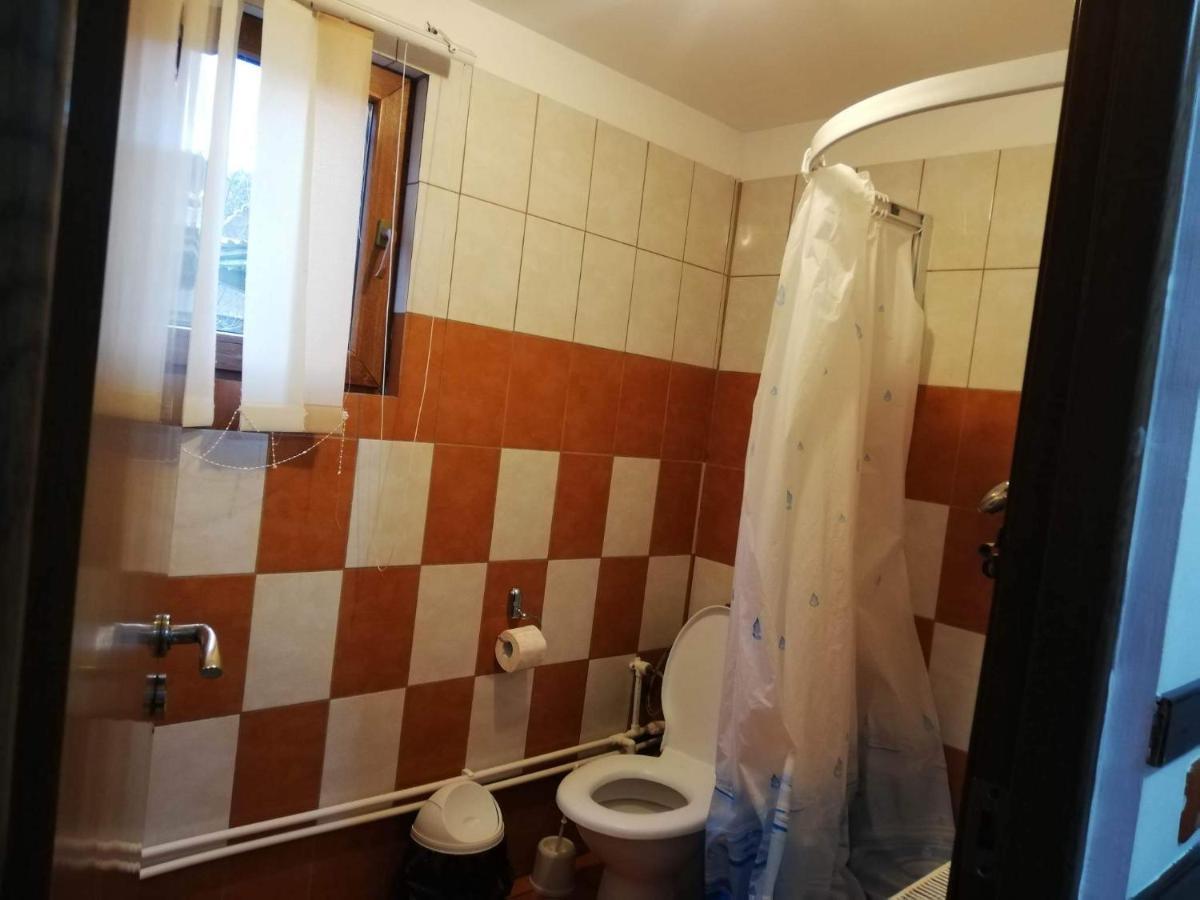 Casa Radu Lui Anghel Villa Barbuletu Ngoại thất bức ảnh